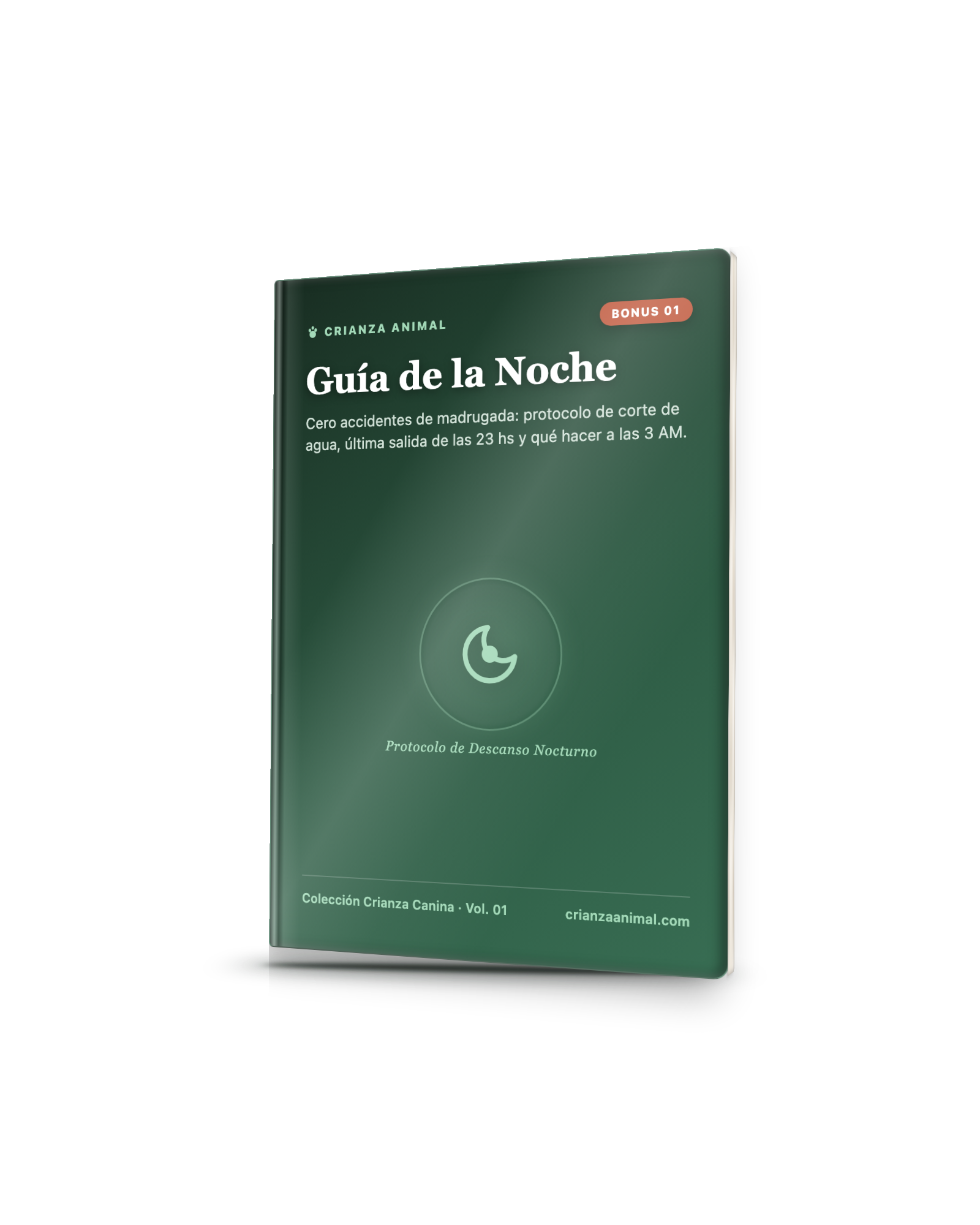 Guía de la Noche