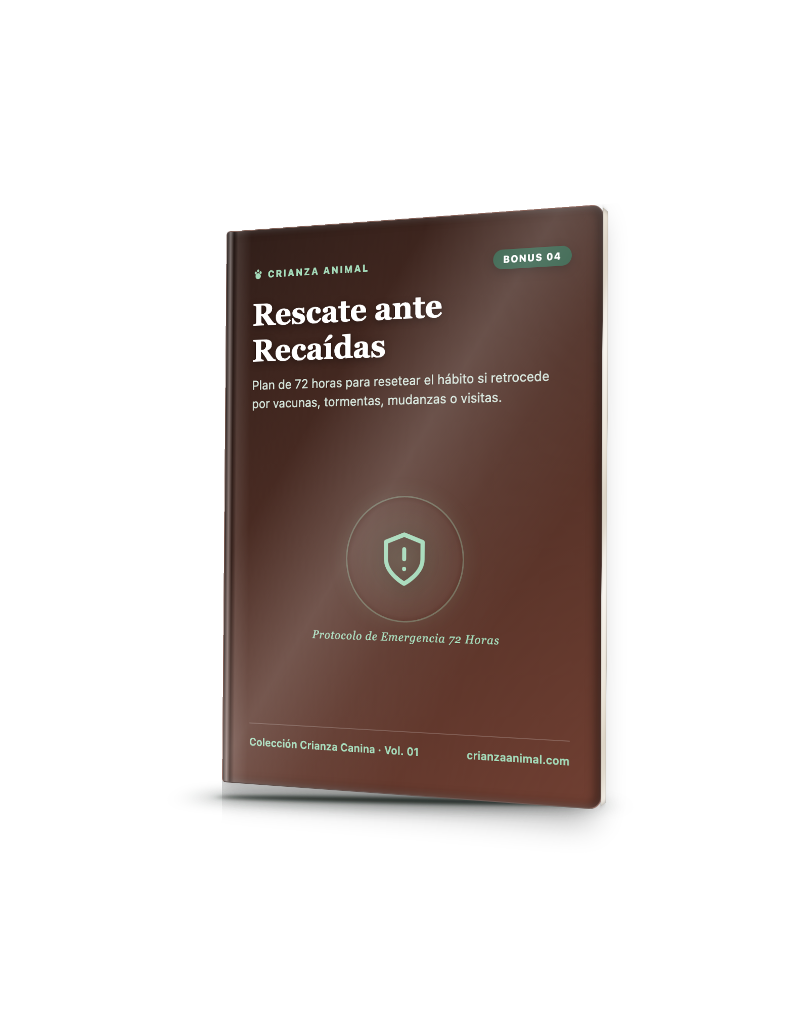 Rescate ante Recaídas